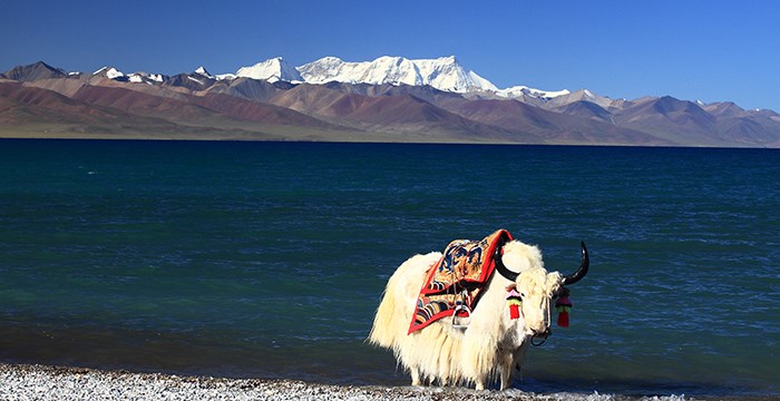 Nam Tso Lake and Nianqingtanggula Mountain